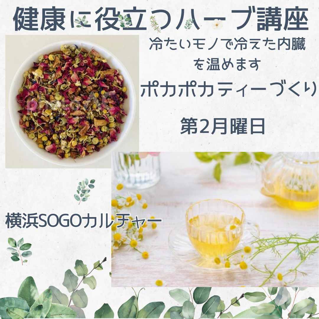 ホワイト グリーン  ナチュラル 植物 お知らせ Instagramの投稿